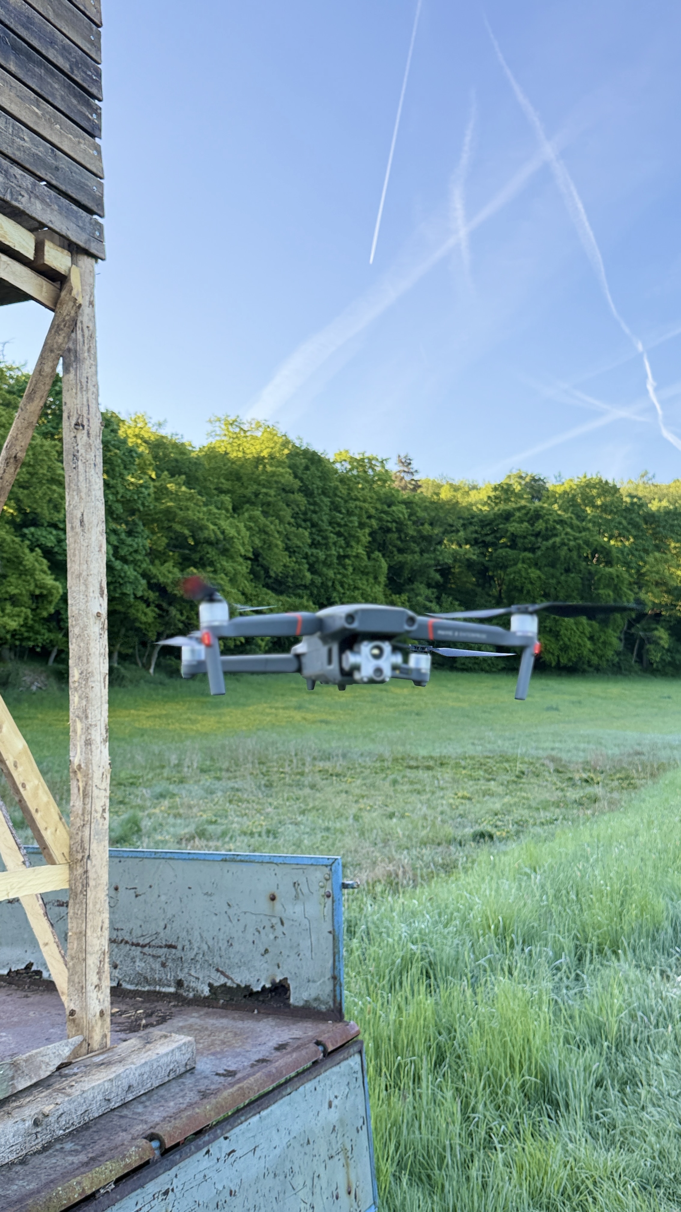 Kitzrettung per Drohne vor der Mahd