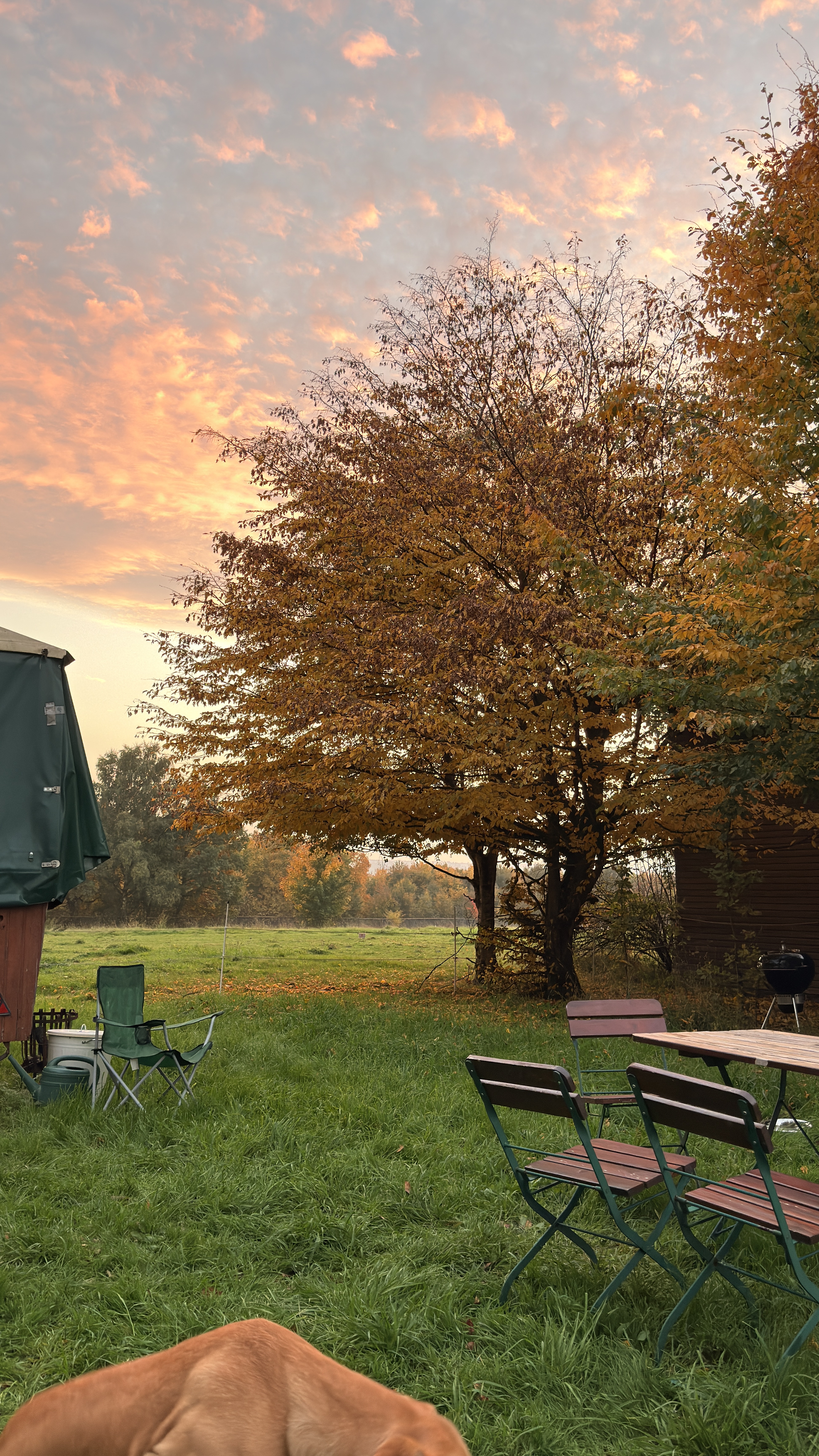 Herbstlicher Sonnenuntergang über dem Hofgut Schanze