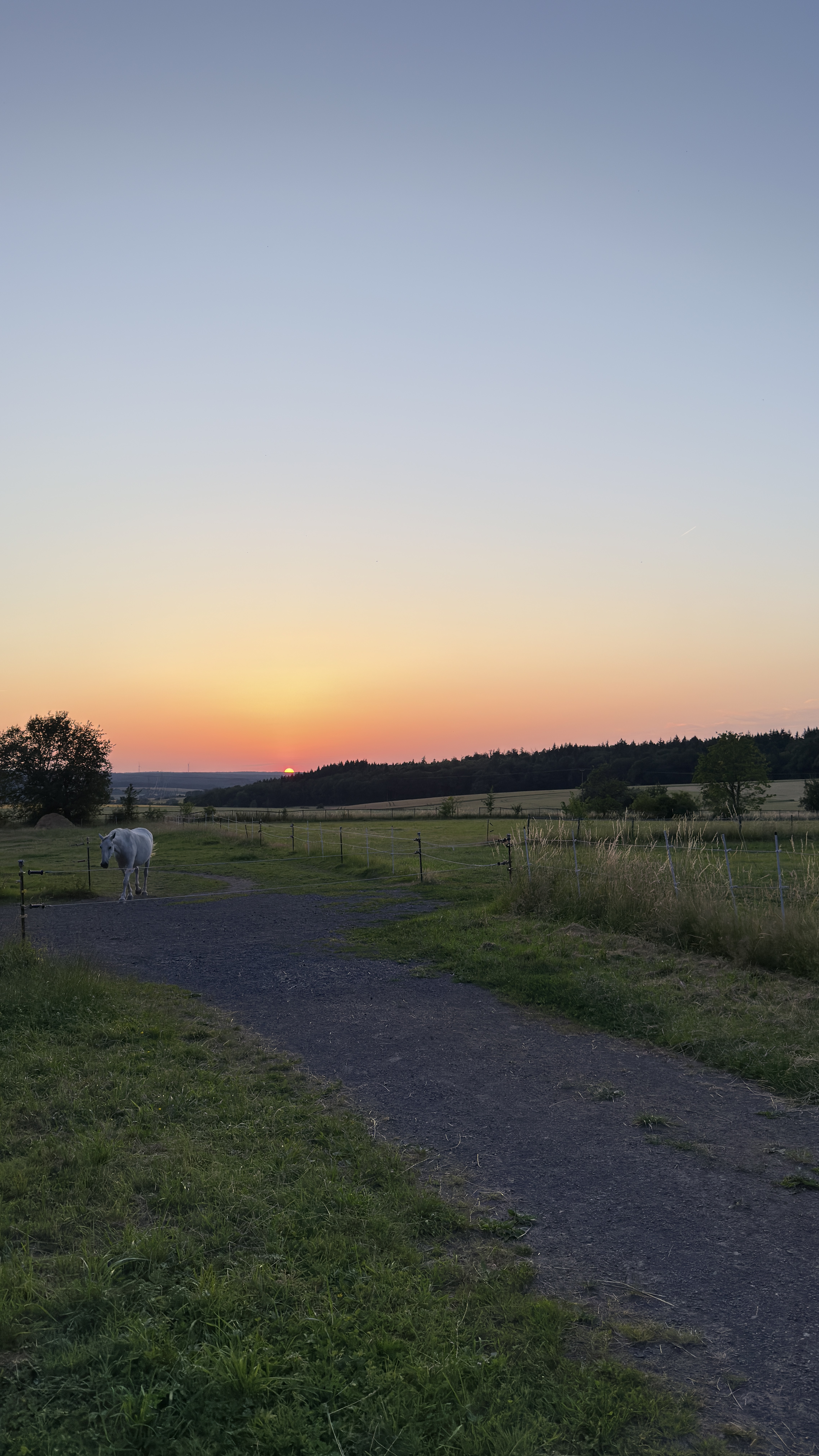 Hofgut Schanze im Abendrot — das Anwesen in seiner ganzen Schönheit