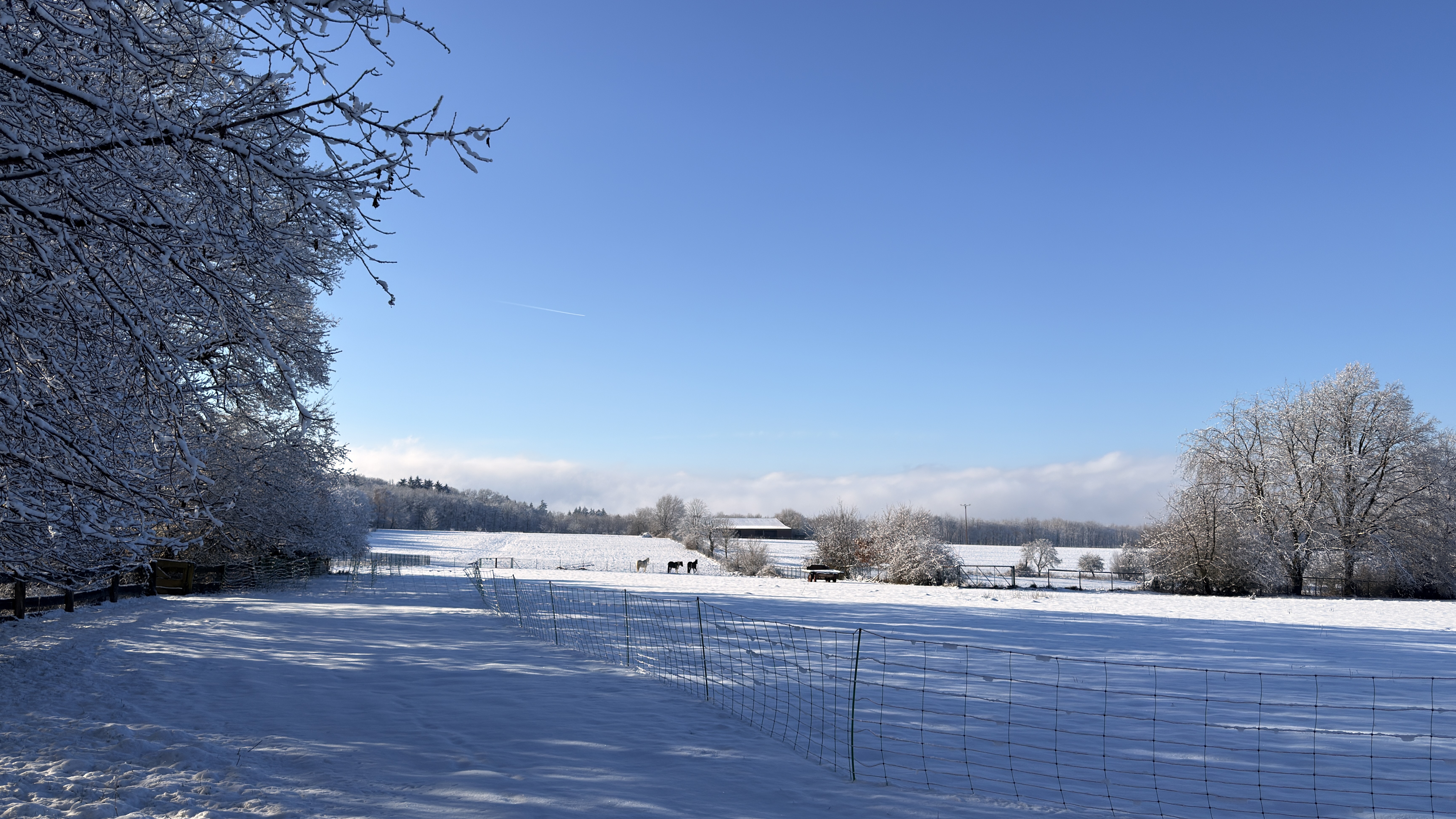 Winterlandschaft mit Schnee auf dem Hofgut Schanze