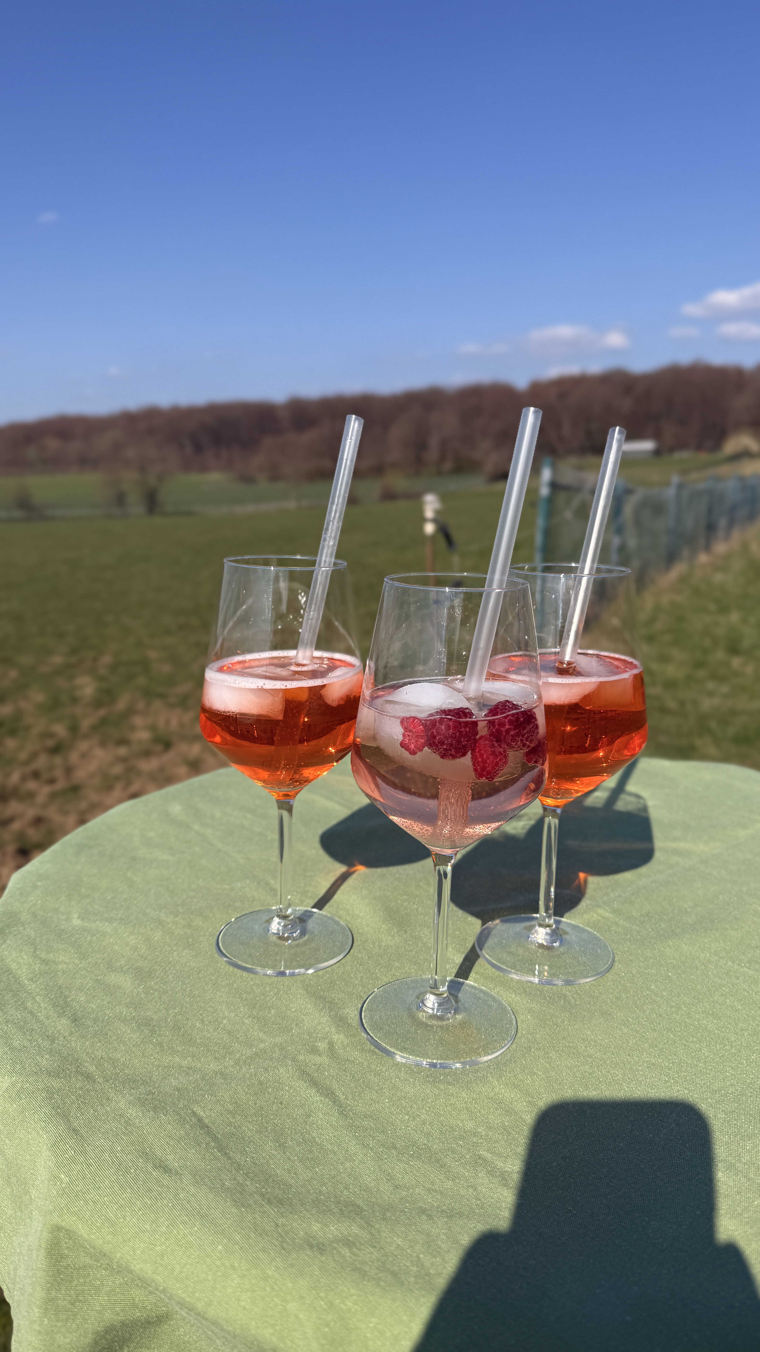 Aperol Spritz auf der Wiese des Wiesencafés