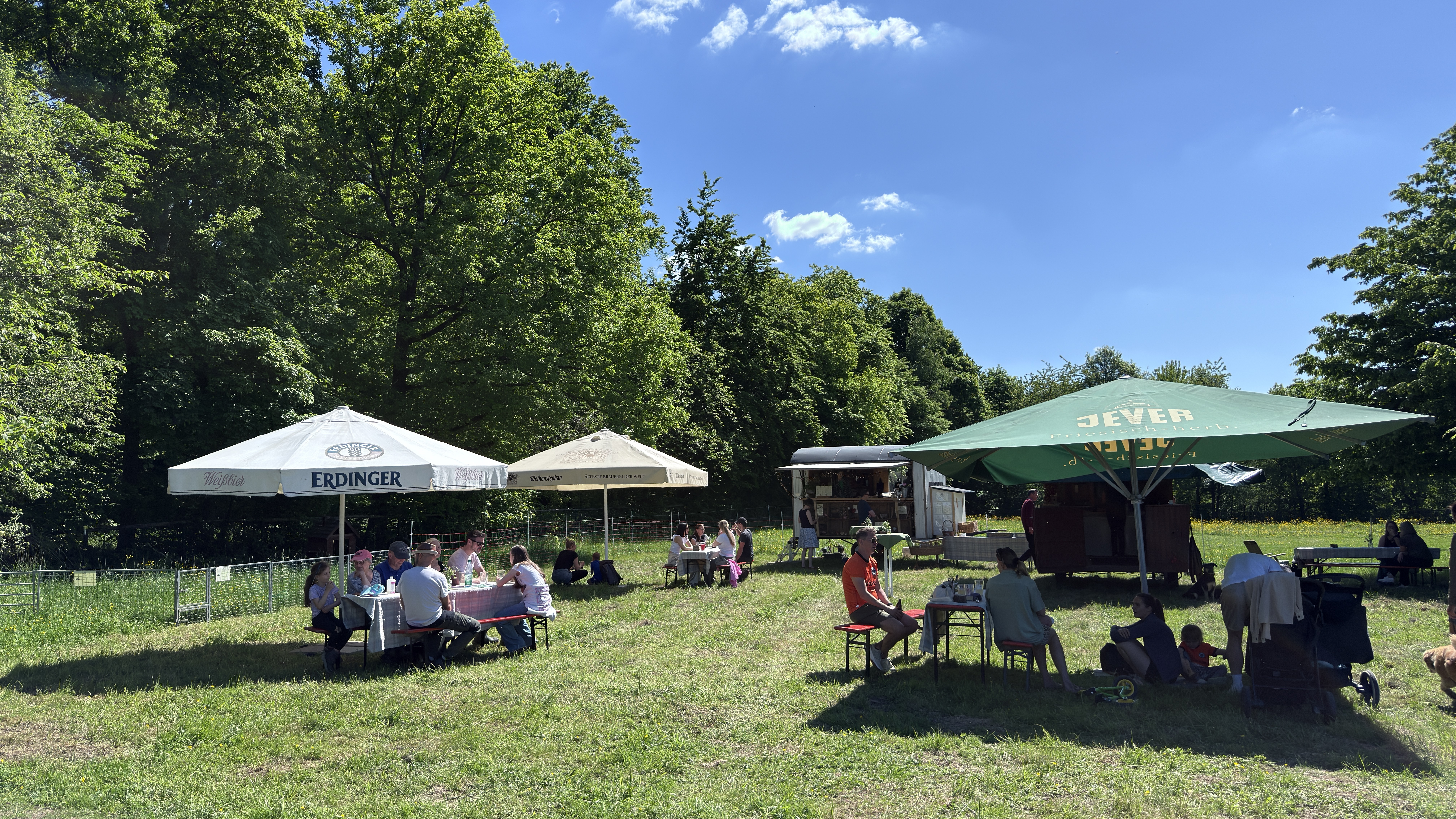 Wiesencafé auf dem Hofgut Schanze — Entspannte Atmosphäre auf der Taunus-Wiese